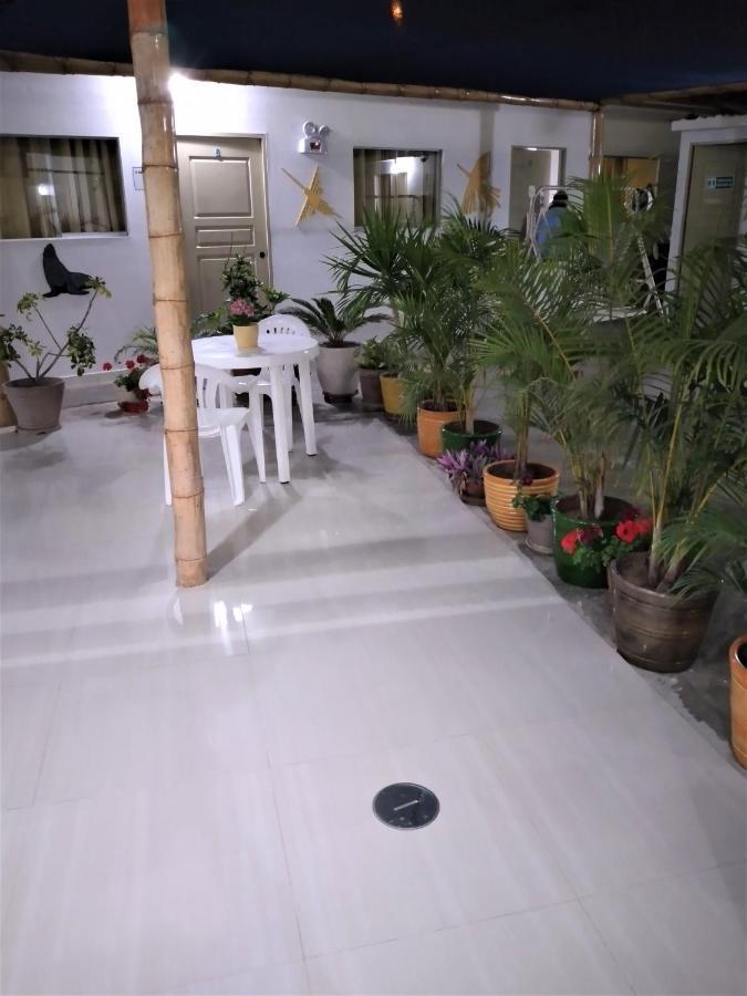 Icthus Paracas Zewnętrze zdjęcie